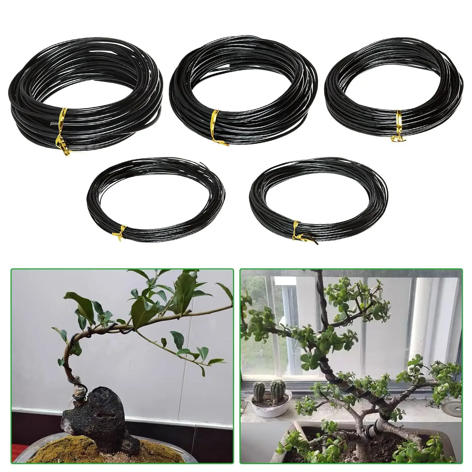 Bonsai Wire 10m Bonsai Wire Plant Support Anodized Aluminum Bonsai Training Wire for Plant Shaping Garden Accessories 1/1.5/2/2.5/3mm