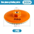 300 mesh 1 PCS
