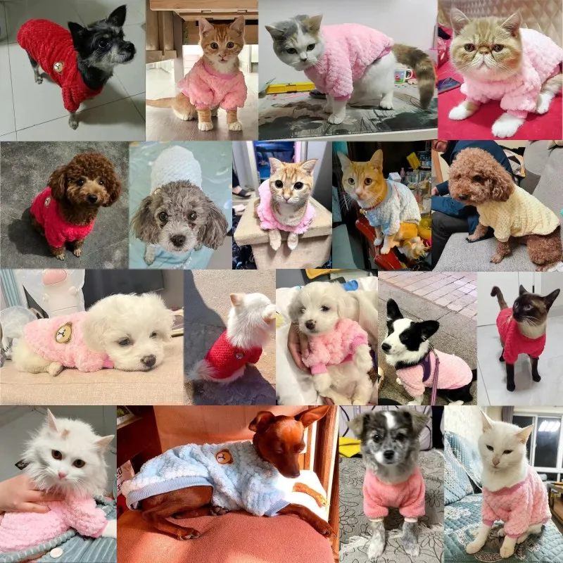 Winter Warm Dog Hoodies Pet Dog Clothes Soft Puppy Pullover Cute Bear Print Cat Sweatshirt Fashion Pet Hoodies Chihuahua Clothes pet clothes