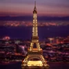 Robotime 3D Wooden Puzzle Game Night of the Eiffel Tower 1:638 Models for Children Adult DIY Crafts Kits Gift DIY with Light 4