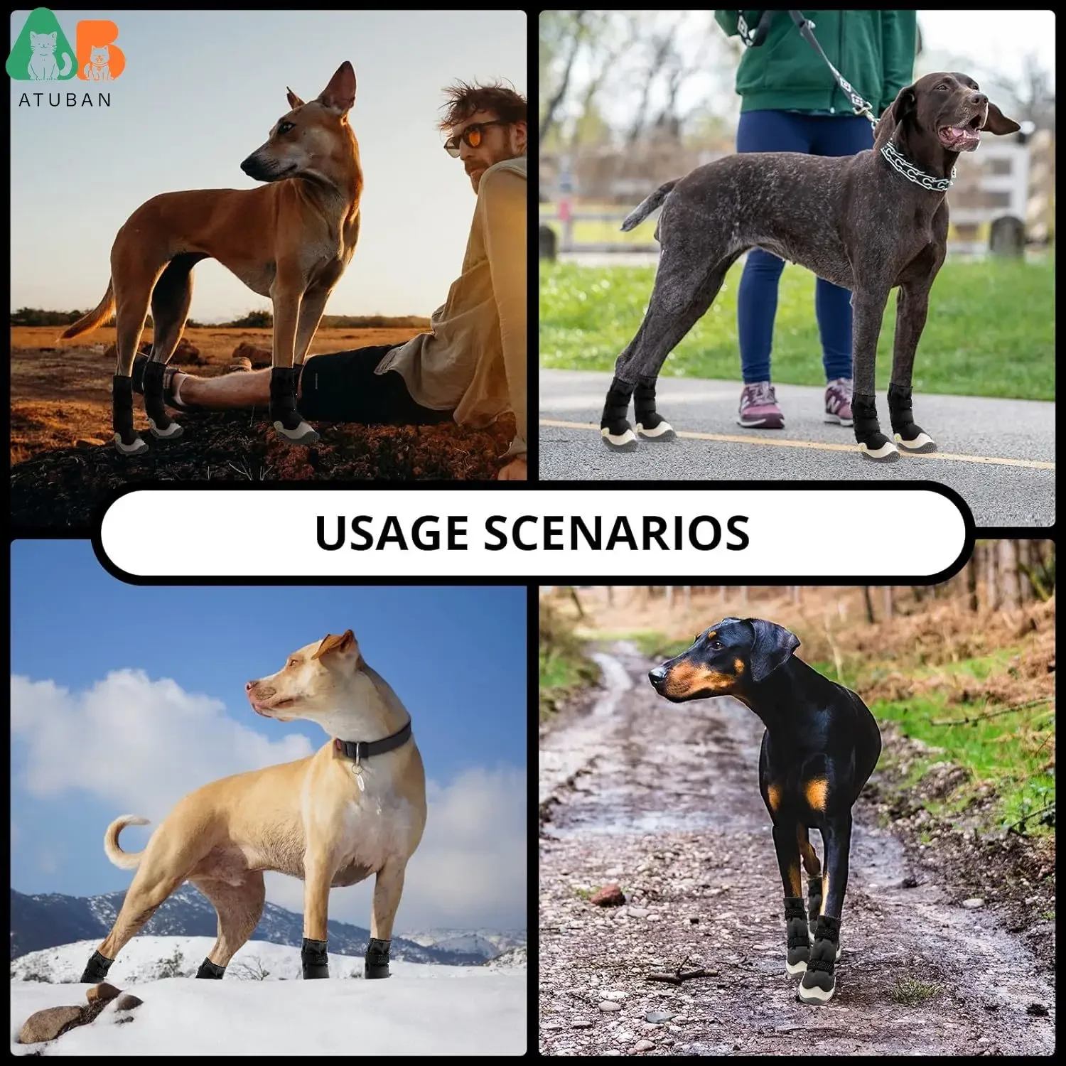 4 Scarpe Estive Per Cani Piccoli – Traspiranti, Antiscivolo, Suola In Gomma – Proteggono Le Zampe Da Asfalto Caldo E Superfici Ruvide