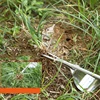 Wood Handle Stainless Steel Garden Weeder Hand Weeding Removal Cutter  Puller Tools Multifunction Weeder Transplant 6