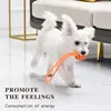 Dog Ball with Rope Exercise and Training Toy for Small Medium Dogs Interactive Pull Throw Toy for Indoor Outdoor 3