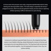 Xiaomi Mijia Electric Shaver Dual Cutter Blade Reciprocating High-Speed Motor Magnetic Suction IPX7 Waterproof Portable Razor 2