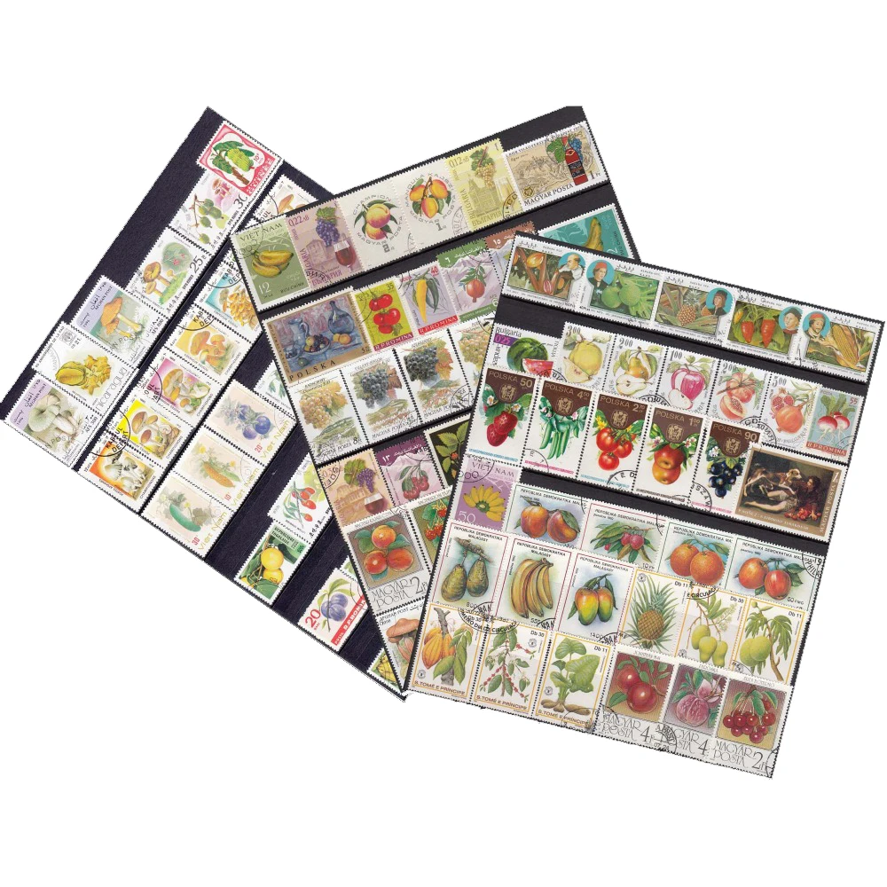 

100PCS/LOT No Repeation,Fruits and vegetables , World Wide Postage Stamps All Middle , Big Stamps NO Small ,For Collecting