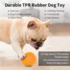 Fetch Spike Balls TPR Training Sounding Toys for Pet Small Dogs Puppy Rubber Bright Colors Chew Teething Tooth Cleaning Toys 5