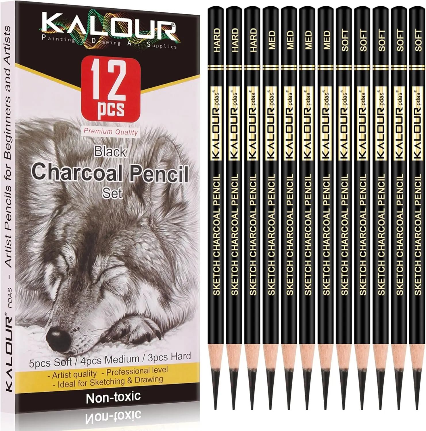 Professional Charcoal Pencils Drawing Set -12 Pieces Soft, Medium and Hard Charcoal Pencils for Drawing, Sketching, Shading, Art