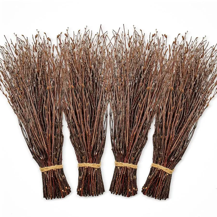 Birch twigs decorative bundle 1