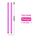 Pink Light 2 head