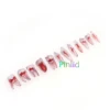 Dental RCT Endo Training Teeth Model 3D Curved Root Resin 12 Size 1:1 Endodontic Education Cavity 2