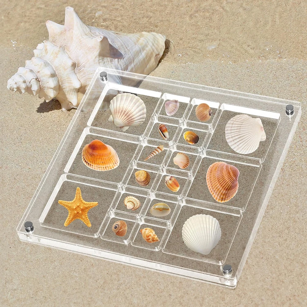 Acrylic Seashell Storage Box Multi Grid Large Size Seashell Bead Nail Jewelry Small Items Collection Display Box For  Home Use 3