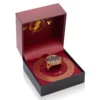 DC Flash Movie Allen Barry Around the Same Ring. 6