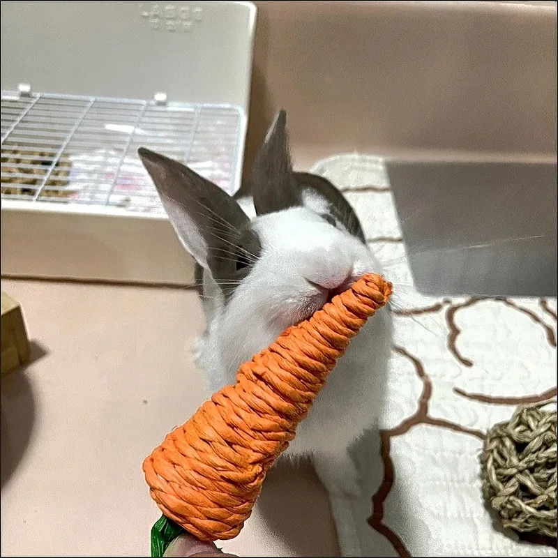 Edible Vegetable Shaped Pet Chew Toys Plant Weaving Radish for Small Animals Rabbit Bunnies Hamster Toy Pet Accessories Supplies pet toys pet chew toys hamster toy