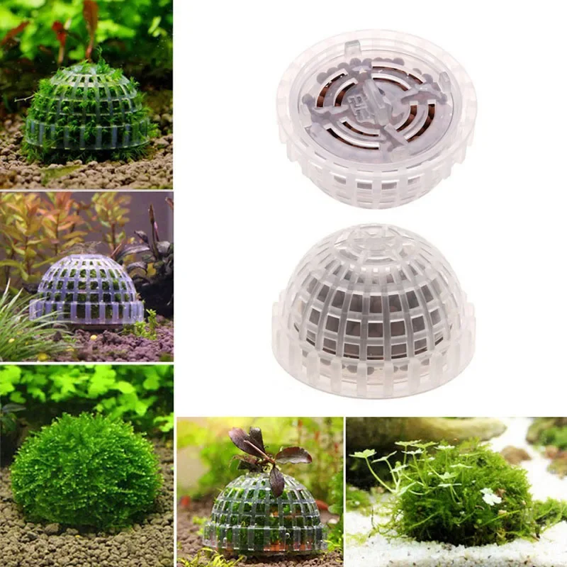 Aquarium Moss Ball Holder 1