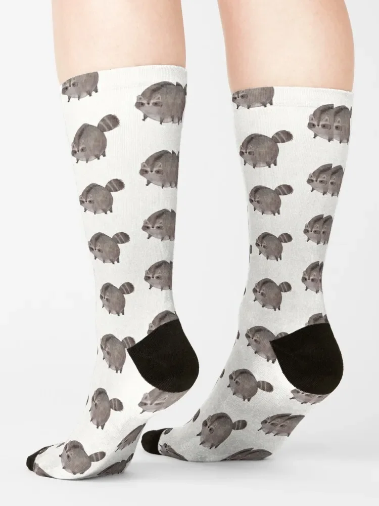 Chubby Trash Panda Socks funny sock sheer professional running Mens Socks Women's
