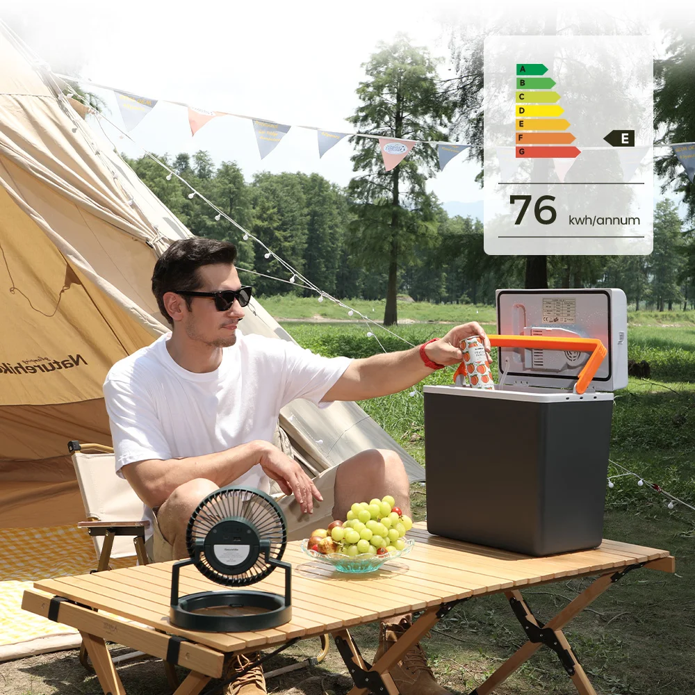 20 Liter Portable Cooler Box Warm and Cold Car Fridge Semiconductor 12v