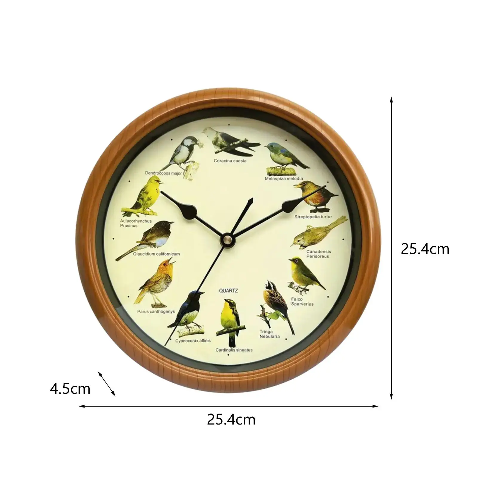 Singing Bird Wall Clock Silent that Sings on Hour Round Decorative Wall Clock for Kitchen Living Room Office Home Decoration