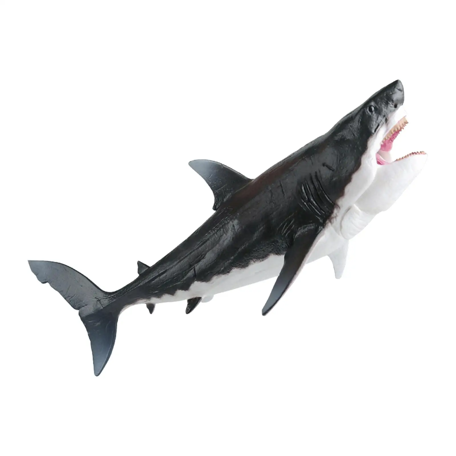 

Большая Акула Рыба обучающая игрушка Доисторический мегалодон экшн-фигурка Морская жизнь Модель Животное для детей мальчиков девочек подарок