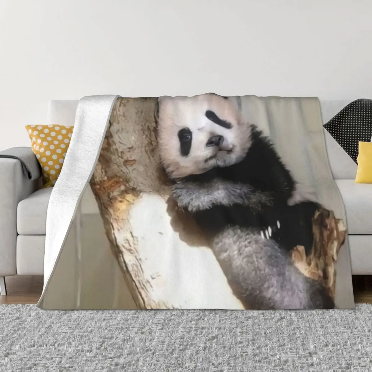 

Japanese Xiangxiang Panda Blanket Winter Warmth All-Season Comfort Throw Blankets for Bedding Affordable