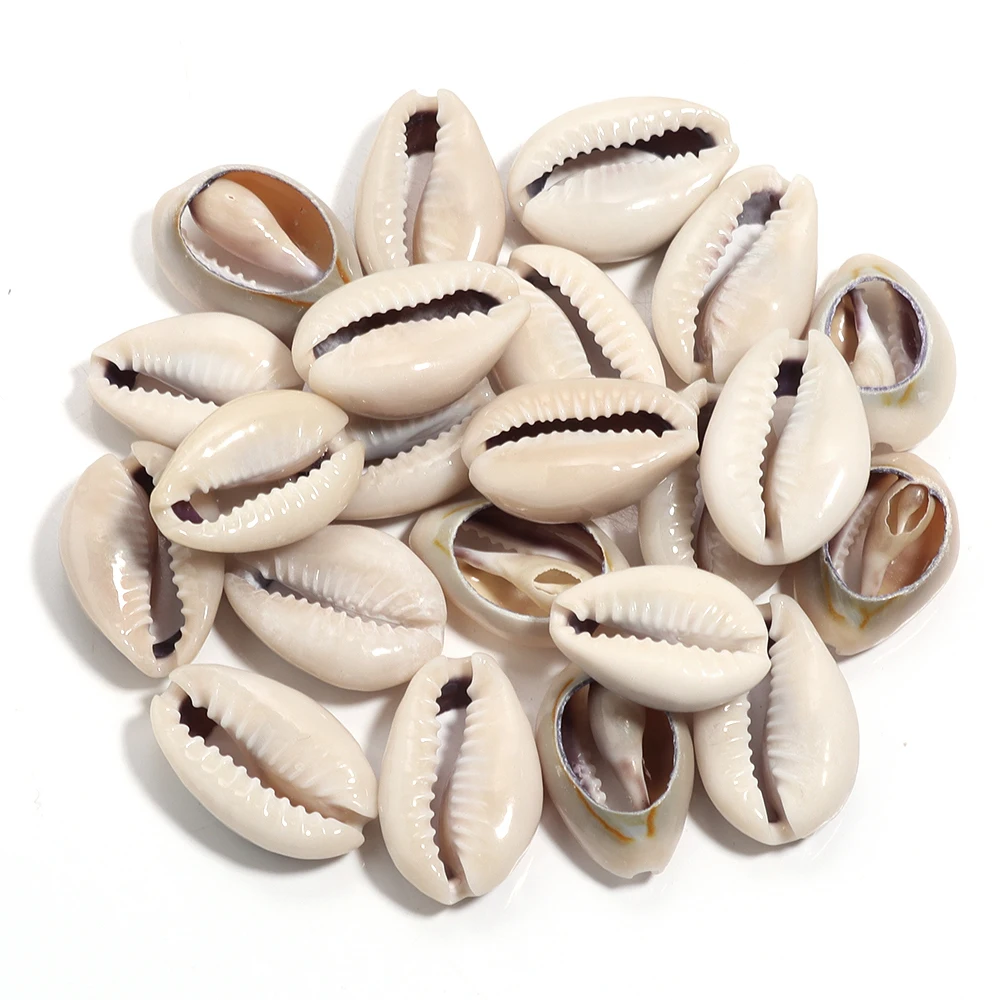 40g Natürliche Muschel Perlen Oval Spirale Conch Lose Spacer Perlen Für DIY Schmuck Machen Halskette Armbänder Telefon Kette liefert – Detail 15