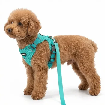 Reflective Breathable Dog Harness and Leash Set Pet Chest Strap Dopamine Pet Supplies Dog Accessories for Small Dogs 1