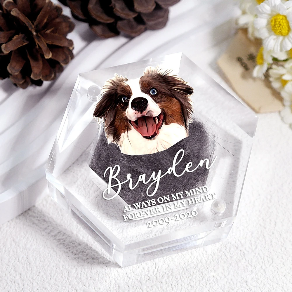 Personalized Pet Fur Keepsake With Photo Pet Hair Box Dog Cat Fur Memorial Box Gifts for Lovers Friends