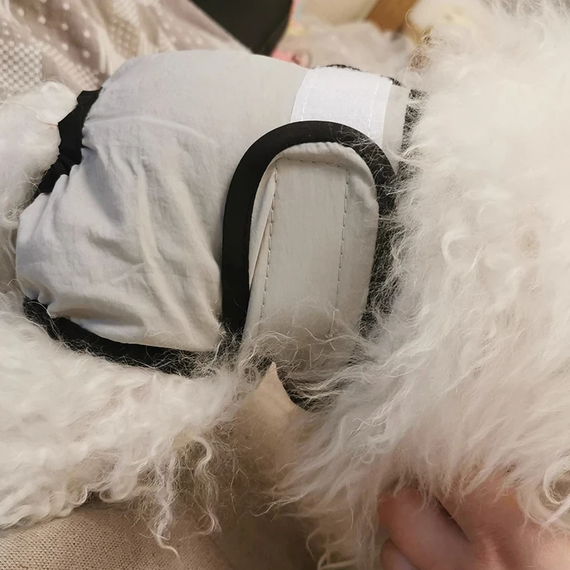 Washable Small Dog Pet Diapers Female Reusable Sanitary Panties Dogs Physiological Pants Shorts Pet Menstruation Supplies dog diapers pet diapers dog nappies dog shorts