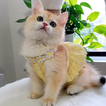Floral Princess Pet Dress 5