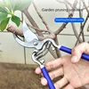 Garden scissors manual pruning SK5 suitable for pruning bonsai fruit tree branches pruning pruning gardening tools 8/10 inches 3