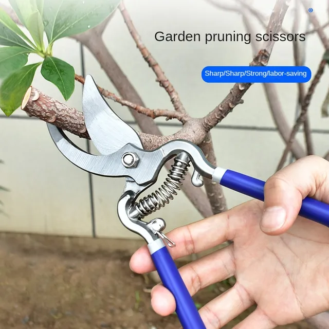 Garden scissors manual pruning SK5 suitable for pruning bonsai fruit tree branches pruning pruning gardening tools 8/10 inches 3