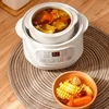 200W Electric Slow Cooker Stew Cup Food Steamer Multicooker Ceramic Pot Cubilose Stew Pregnant Tonic Baby Supplement Food Warmer 2
