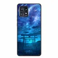 H10.CH.602