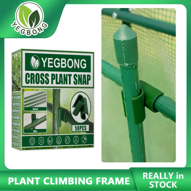Műanyag Kereszt -Csat Növényi Pattanás Hegymászó Keret Szegélycsatlakozók Növénybilincsek Csatlakozás Oszlop Kertészeti Kellékek