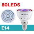 E14-80Leds
