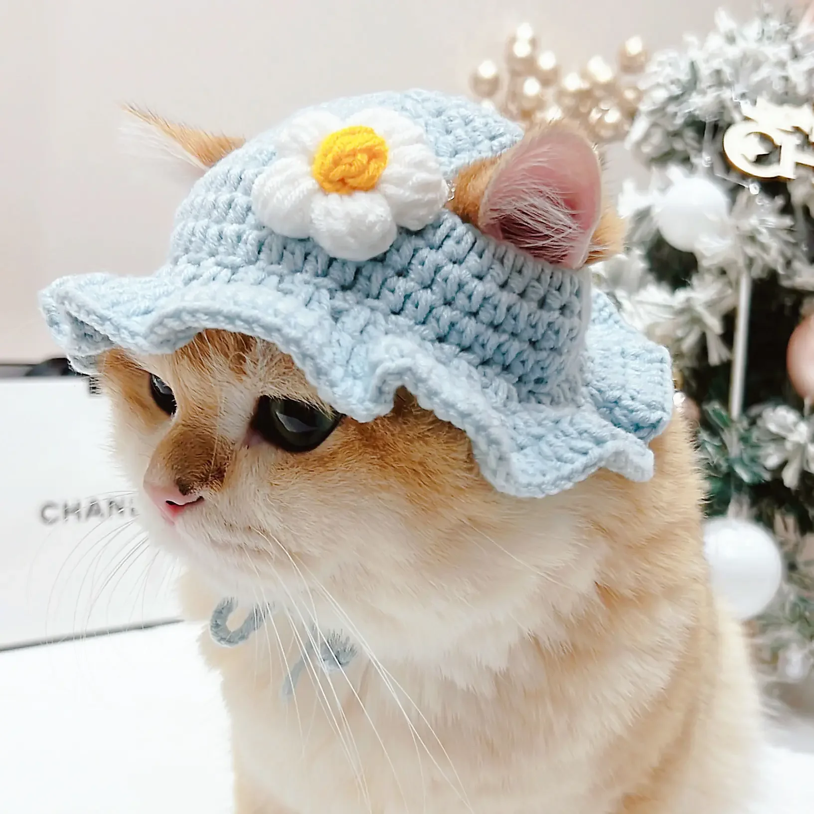 Charming Cat Party Cosplay Knitted Hat with Pendant Decor