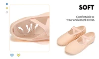 Girls Ballet Shoes For Woman Kids Ballet Slippers Women Ballet Flats Children Practise Dance Shoe Soft Sole Canvas Training Shoe