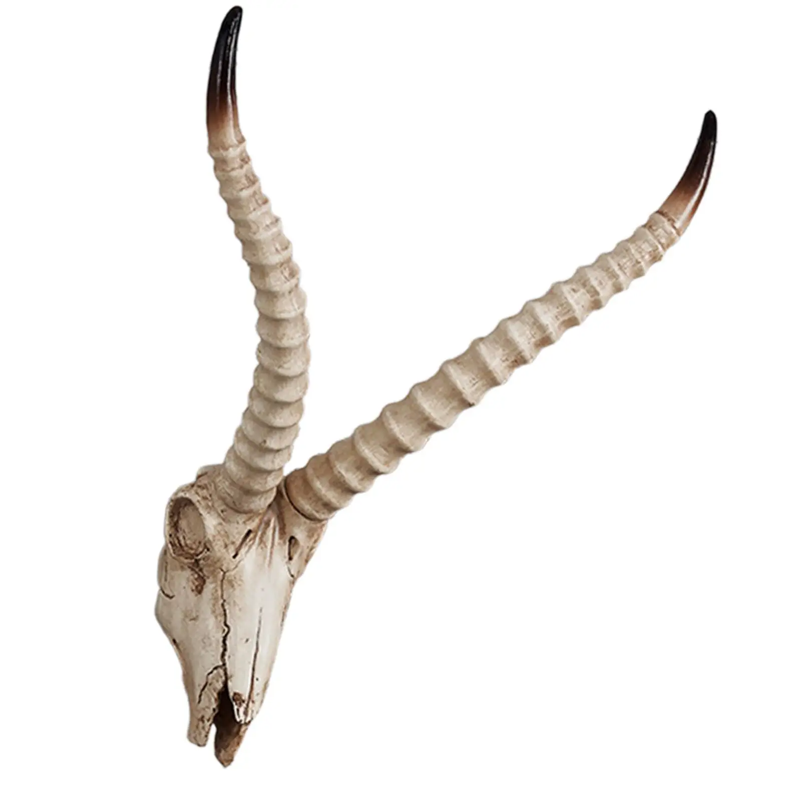 3D Harz Ziegen-Schädel Wanddekoration – Tierkopf Skulptur, Weiß, Für Wohnzimmer & Büro