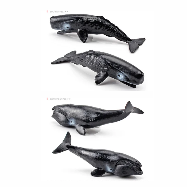 Lot De 12 Figurines Animaux Marins Réalistes En Plastique - Baleine, Dauphin, Requin, Tortue... Pour Jeu éducatif Enfant 3+