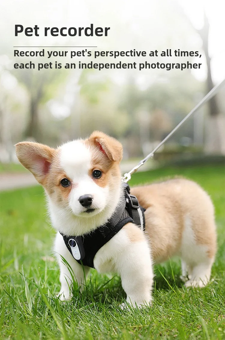 HD 1080P Dog Tracker Collar Cat Collars Camera Lightweight Sport Action Camera Video Photo Records Mini Body Cam Pet Supplies