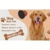[Nail Care] Stress-Free Pet Nail Care | Dog Nail File | Scratch Square for Dogs | Durable PP Material 5