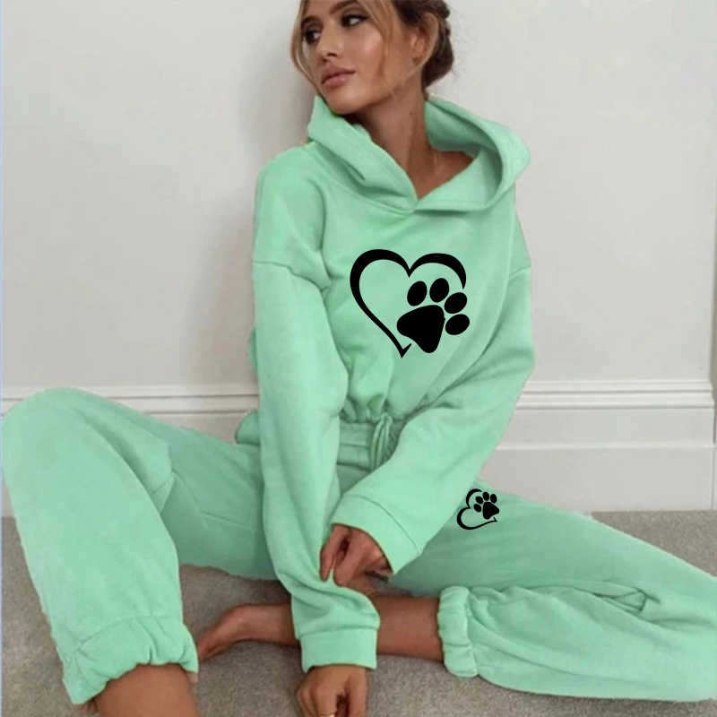 New Women Tracksuit Hoodie and Pants Casual Sport Suit Winter 2 Piece Set 8 Colors Jogging Suit