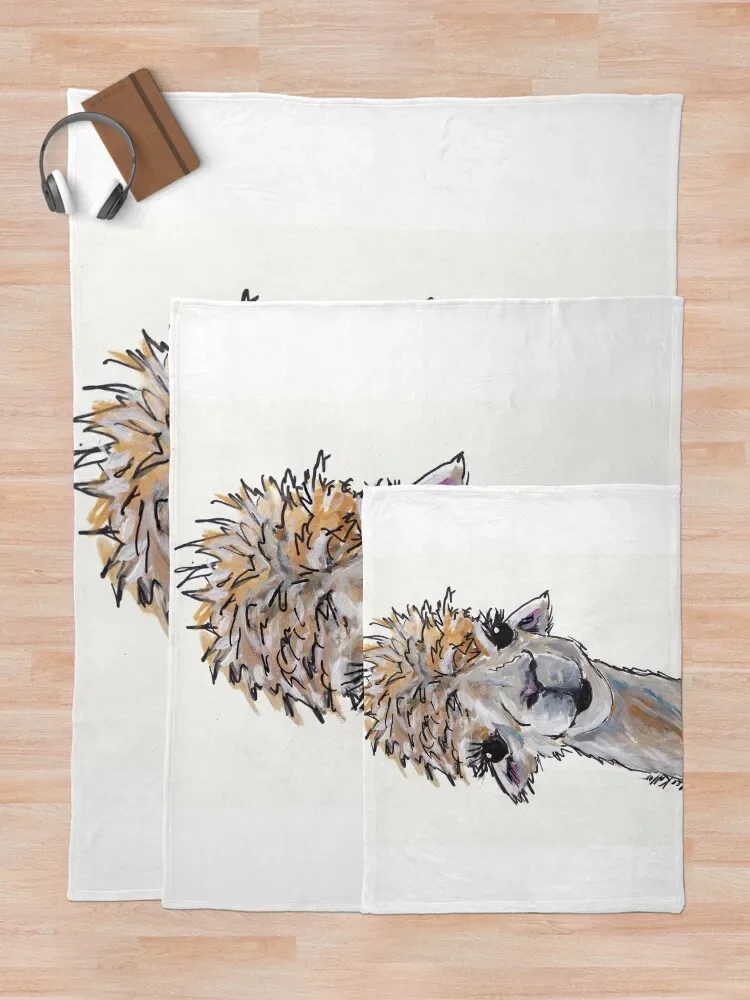 �Ϳ��� ����ī ��Ʈ, õ�� ������ ���, ���� ħ�� ���� ���� ���