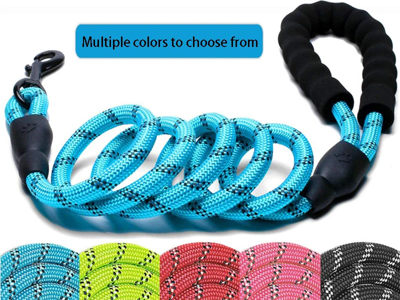 Pet Leash Image 4