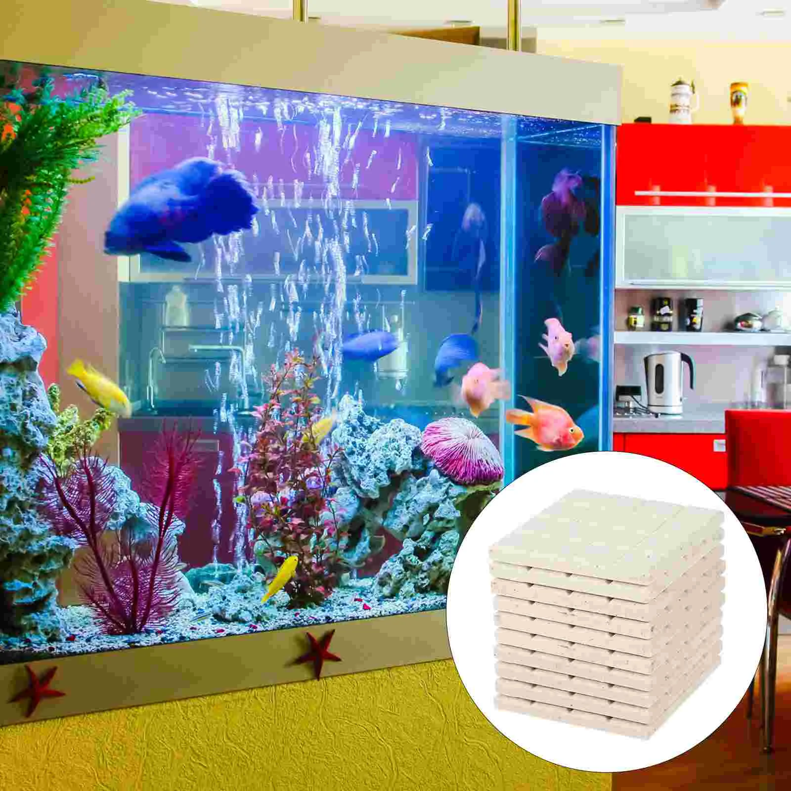 

Magnetic Base Coral Holding Rack Frag Rack Fish Tank Rack Aquarium Coral Reef Bases Coral Frag Bases Frag Rock