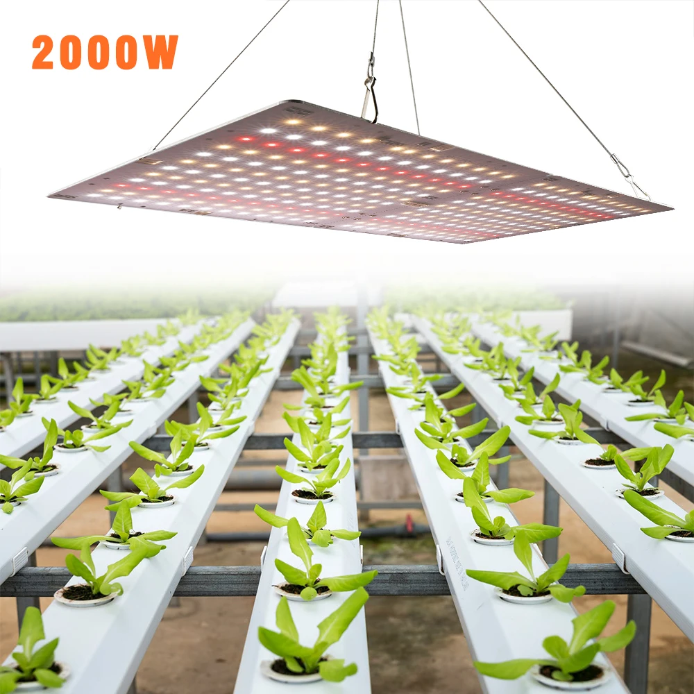 

2000W Ultrathin Led Grow Light 288beads Full SpectrumSMD3030 Panel for Indoor Plants Flower Grow Tent Growbox with MW Driver