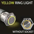 Yellow circle