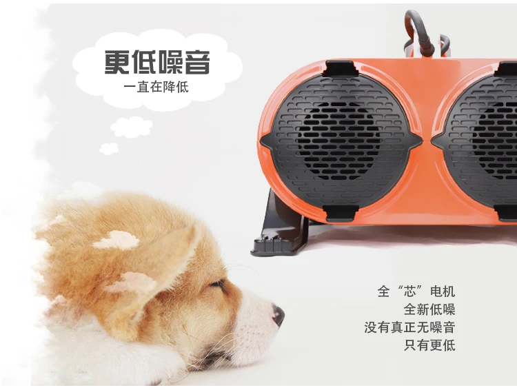 Pet Large Dog Special High-power Big Dog Blowing Silent Hair Dryer Double Motor