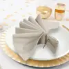 6 Pieces 100% Linen Dinner Napkin Nature Napkin Soft Absorbent Comfortable - Ideal for Events and Regular Use 2