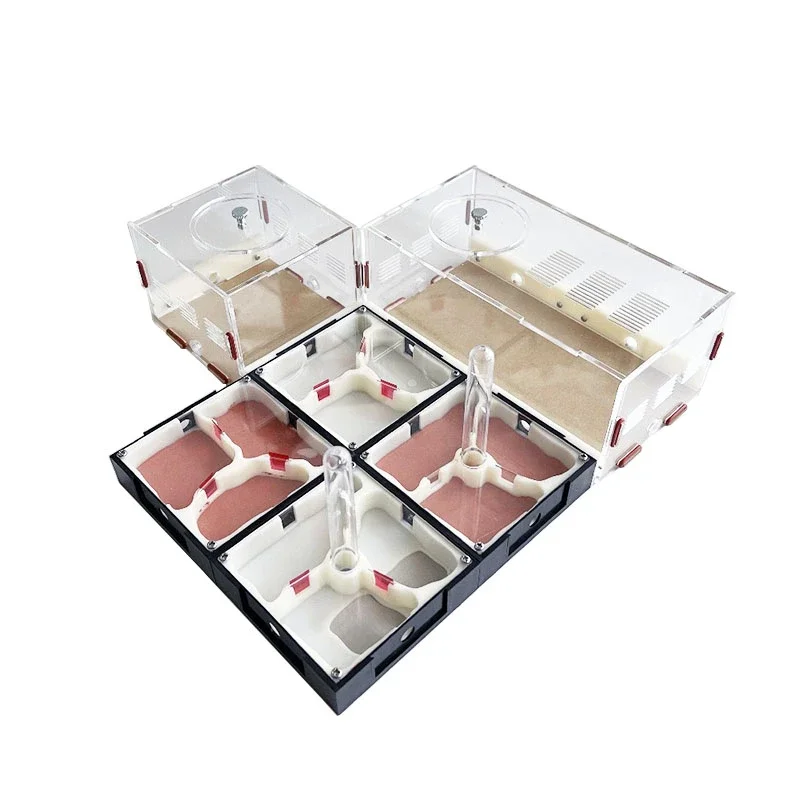 Unlimited Expansion Ant Farm with Feeding Area Moisturizing Water Tower ant farm supplies ant farm