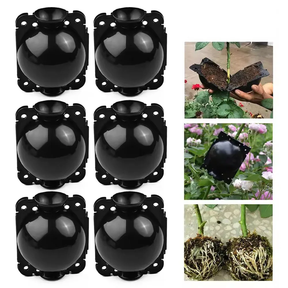 Botanical Rooting Propagation System - Garden Planting Supplies & Accessories